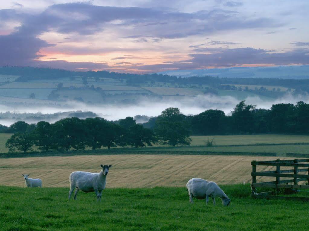 Rye Hill Farm Bed and Breakfast Χέξαμ Εξωτερικό φωτογραφία